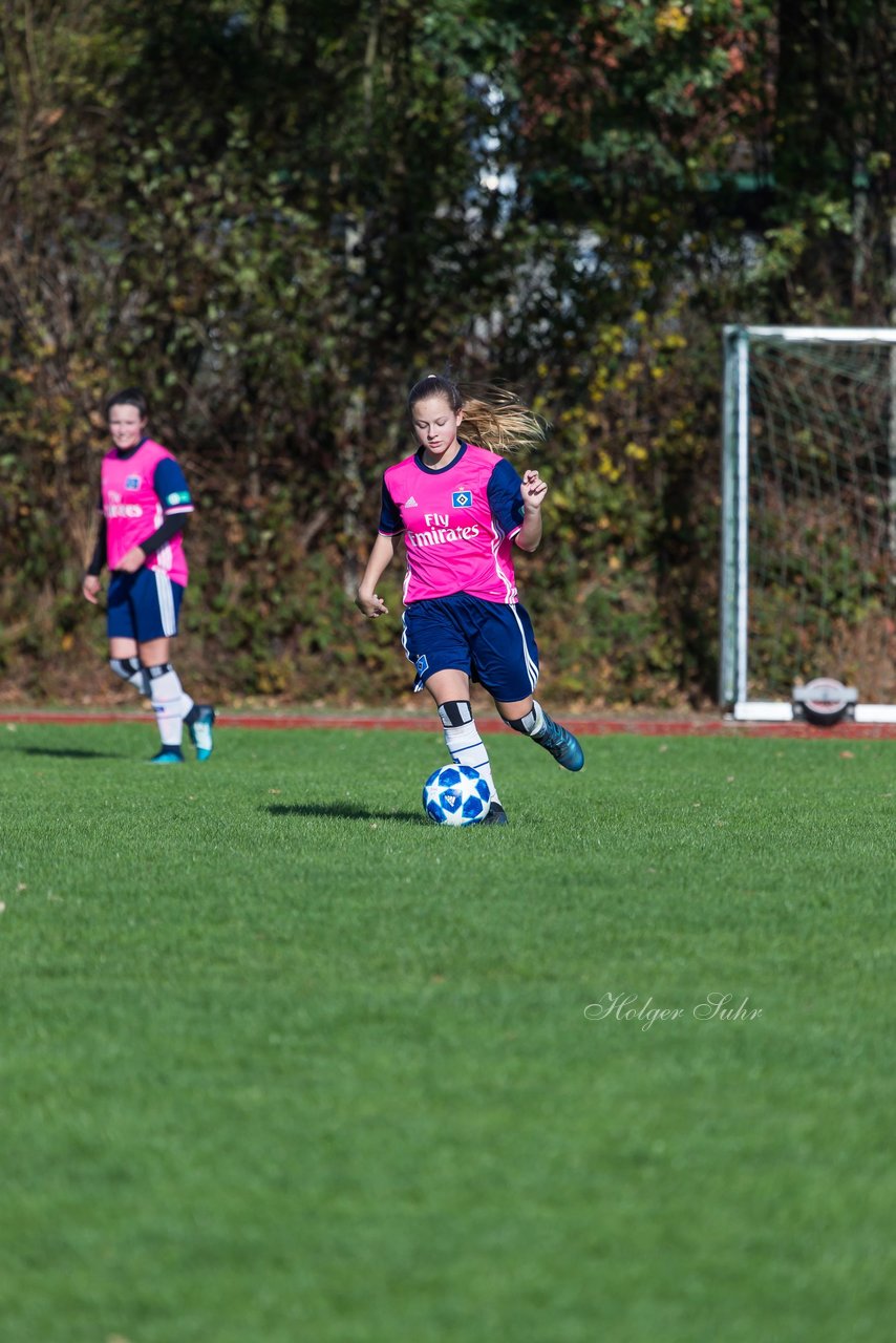 Bild 345 - B-Juniorinnen Halstenbek-Rellingen - Hamburger SV 2 : Ergebnis: 3:8